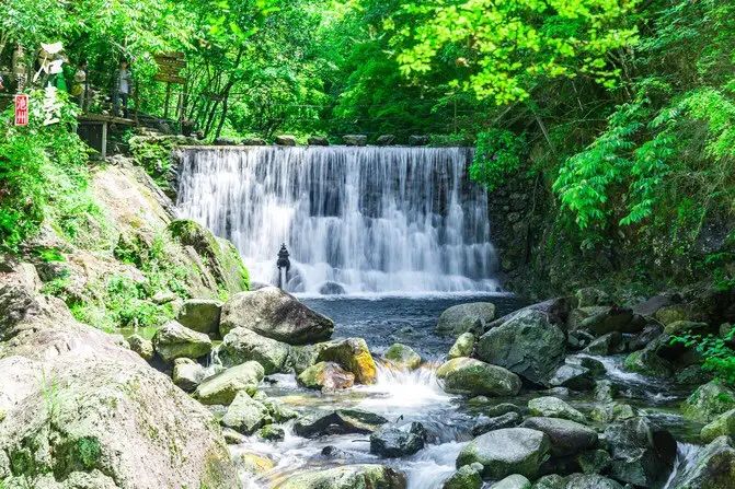 醉山野景區