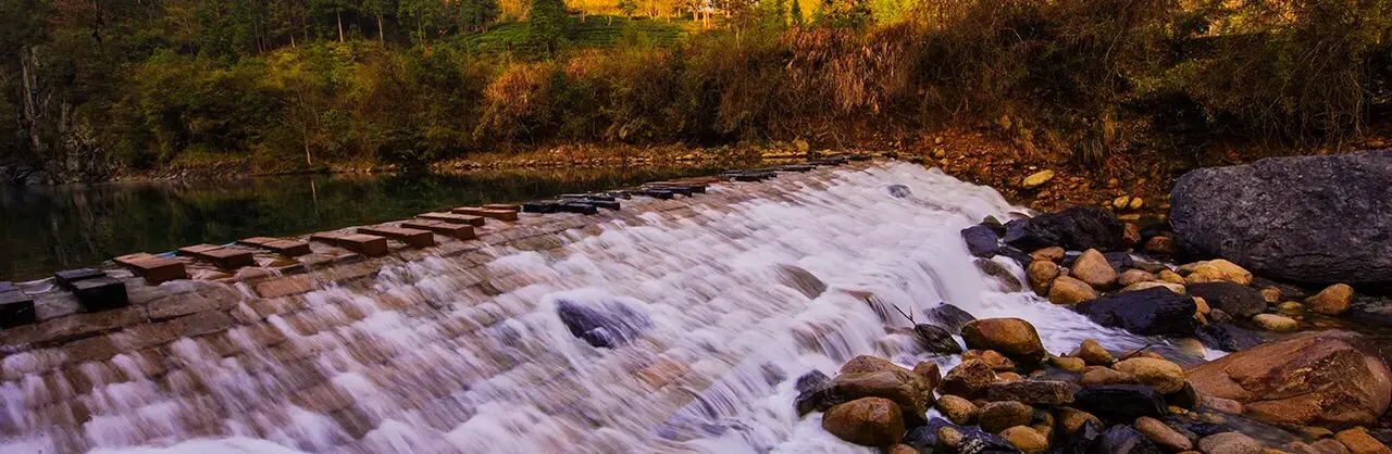 Fall Viewing Attractions