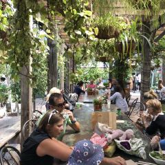 The Grounds of Alexandria User Photo