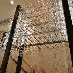 Rockpool Bar & Grill Sydney User Photo