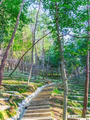 Huoshan Shihu Ecological Garden