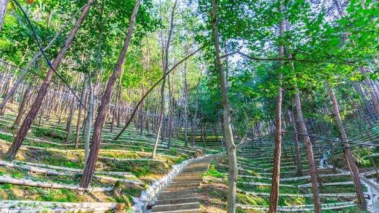 Huoshan Shihu Ecological Garden