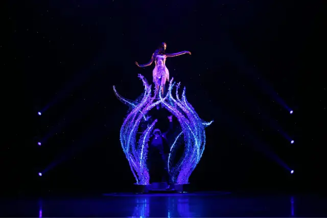 Pattaya Ladyboy Show