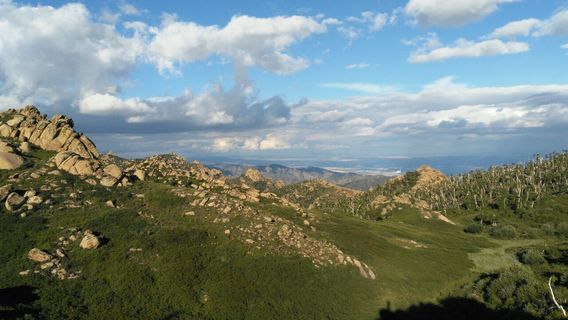 Wula Mountain Forest Park