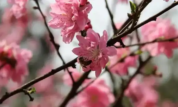 Hotels near Yufu Park