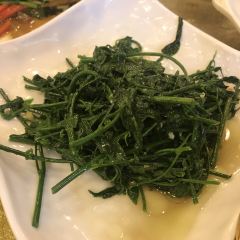 Qiong Cai Wang Gourmet Village User Photo