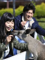 那須動物王國