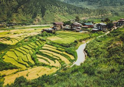 Punakha