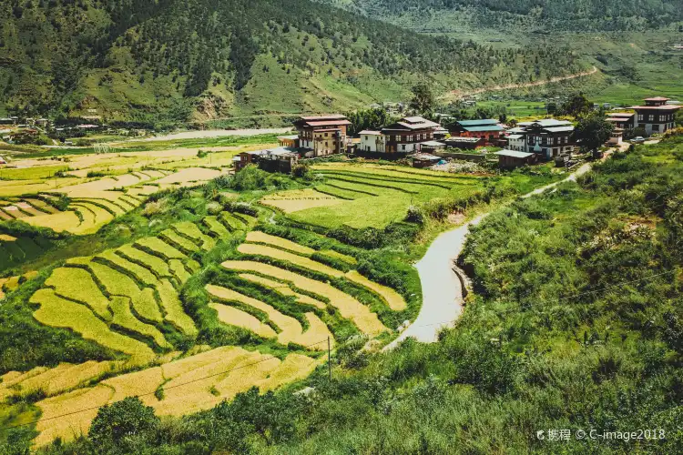 Punakha