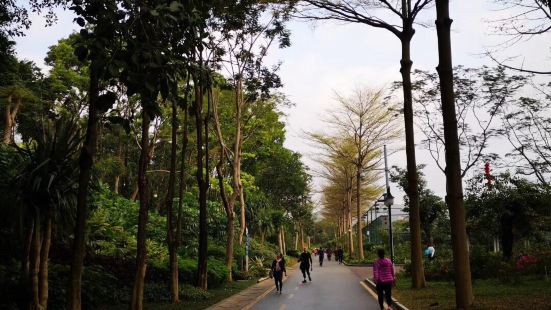 超高性价比，跑步，大沙河公园。跑不同的路线，看不一样的风景。