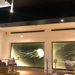 Acquolina Ristorante User Photo