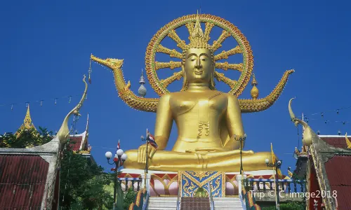 Big Buddha Temple (Wat Phra Yai)