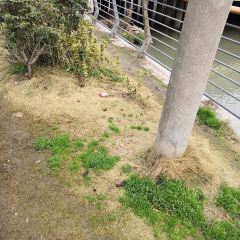 Fumoto 여행 사진