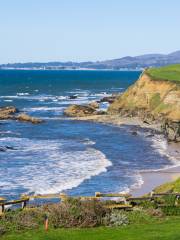 Half Moon Bay State Beach