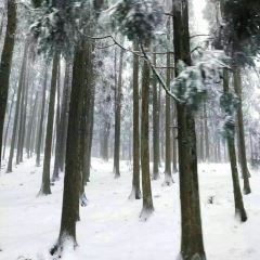 彭记家常菜肥肠鱼 User Photo