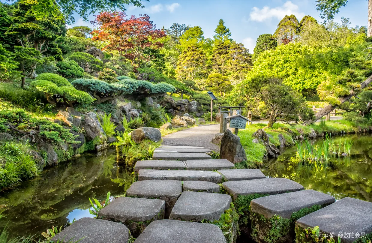 4_日本茶園