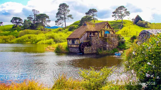 Hobbiton™ Movie Set Tours