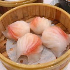 Jin Huang Ting User Photo