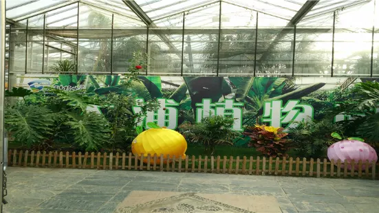 熱帶植物園