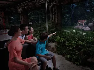 Night Safari