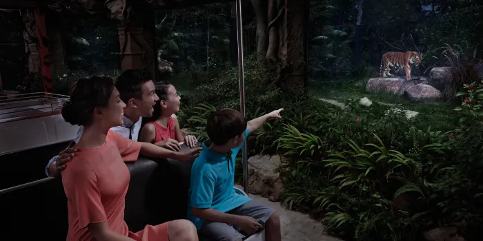 Night Safari image 2