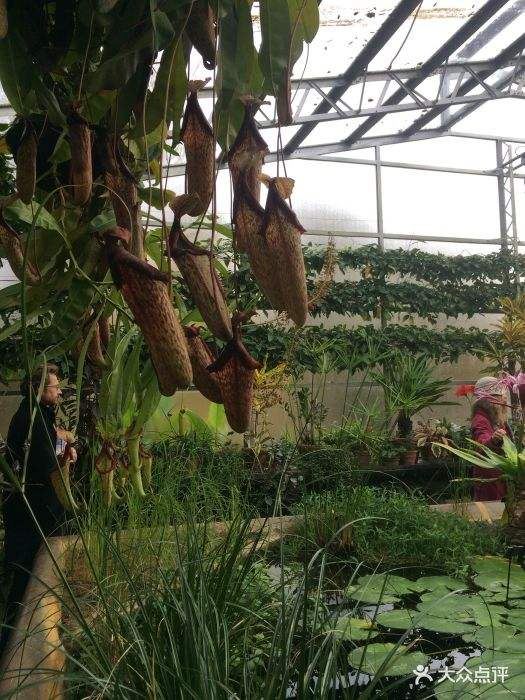 University of Oxford Botanic Gardens