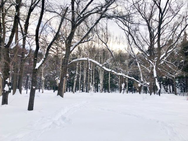 마루야마공원