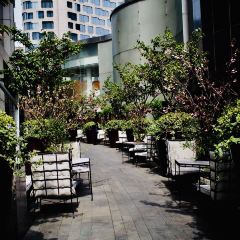 Cachet at Langham Xintiandi User Photo