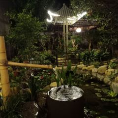 Yun Qin User Photo