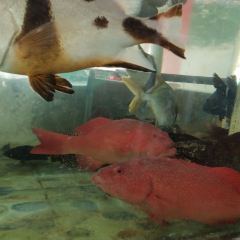 海湾美食园 User Photo