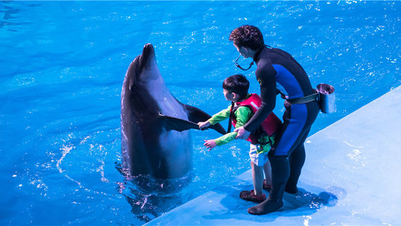 Laohutan Pole Aquarium