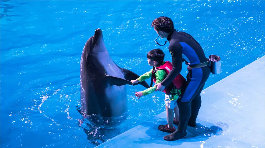 1_老虎灘極地海洋動物館