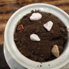 LaoJie DiYiLou User Photo