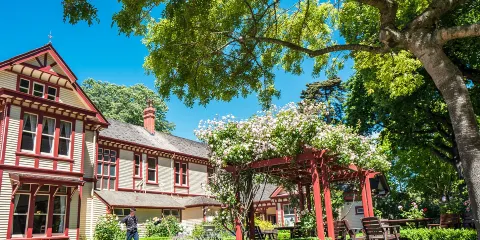 裏卡頓叢林與裏卡頓木屋