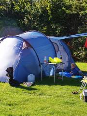 Embers Camping - Bentley (South Downs)