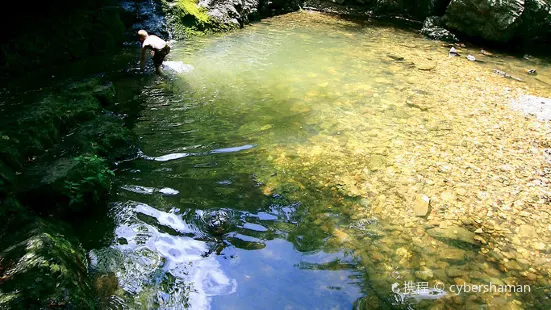 Lake Catherine State Park