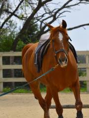 Spicewood Farms