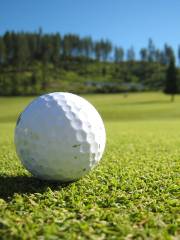 Griffith E Harris Golf Course