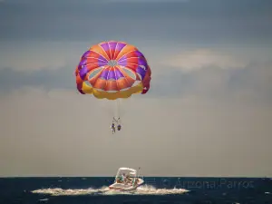 Aloha Watersports