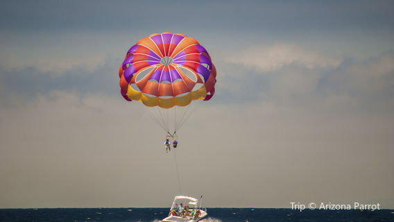 Aloha Watersports