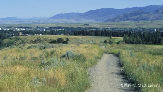 Peets Hill/Burke Park