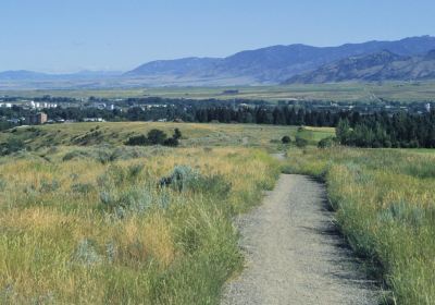 Peets Hill/Burke Park