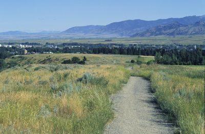 Peets Hill/Burke Park