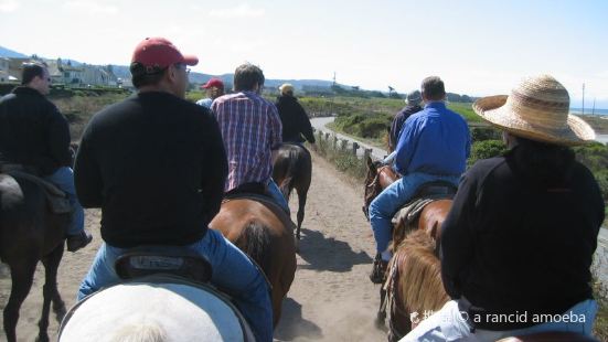 Sea Horse Ranch