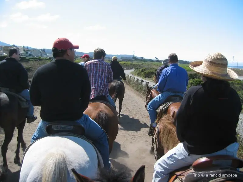 Sea Horse Ranch