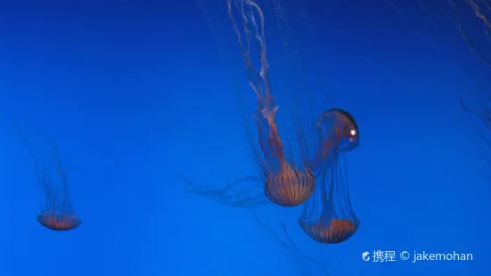 Woods Hole Science Aquarium