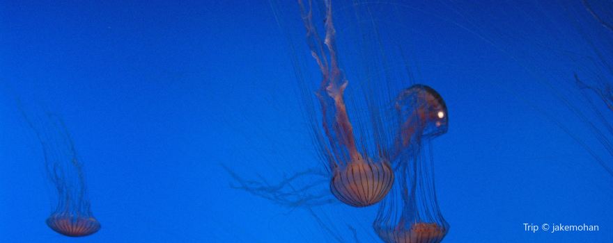 Woods Hole Science Aquarium