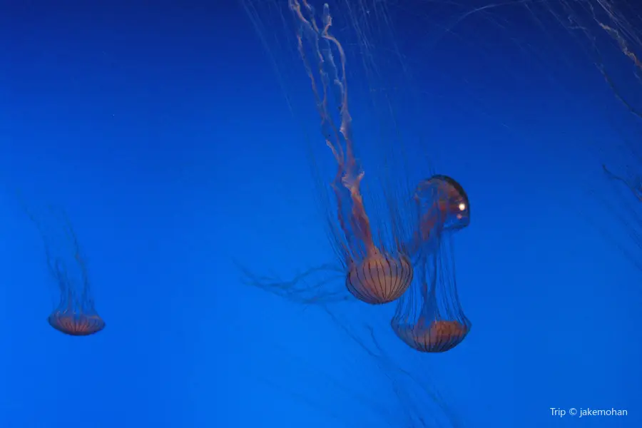 Woods Hole Science Aquarium