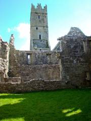 Ross Errilly Friary