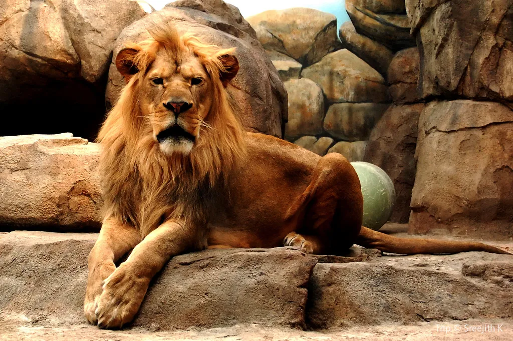 4_Milwaukee County Zoo